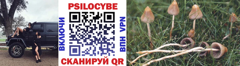 Галлюциногенные грибы мицелий  Лобня 